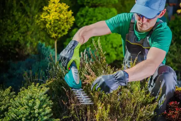 landscaping services Tangipahoa